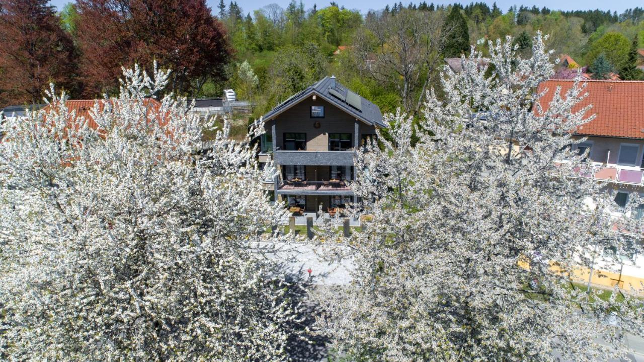 Invita Natur Chalets Bad Dürrheim Exterior foto